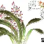 兰斯战队表现出色，期待更多胜利的简单介绍