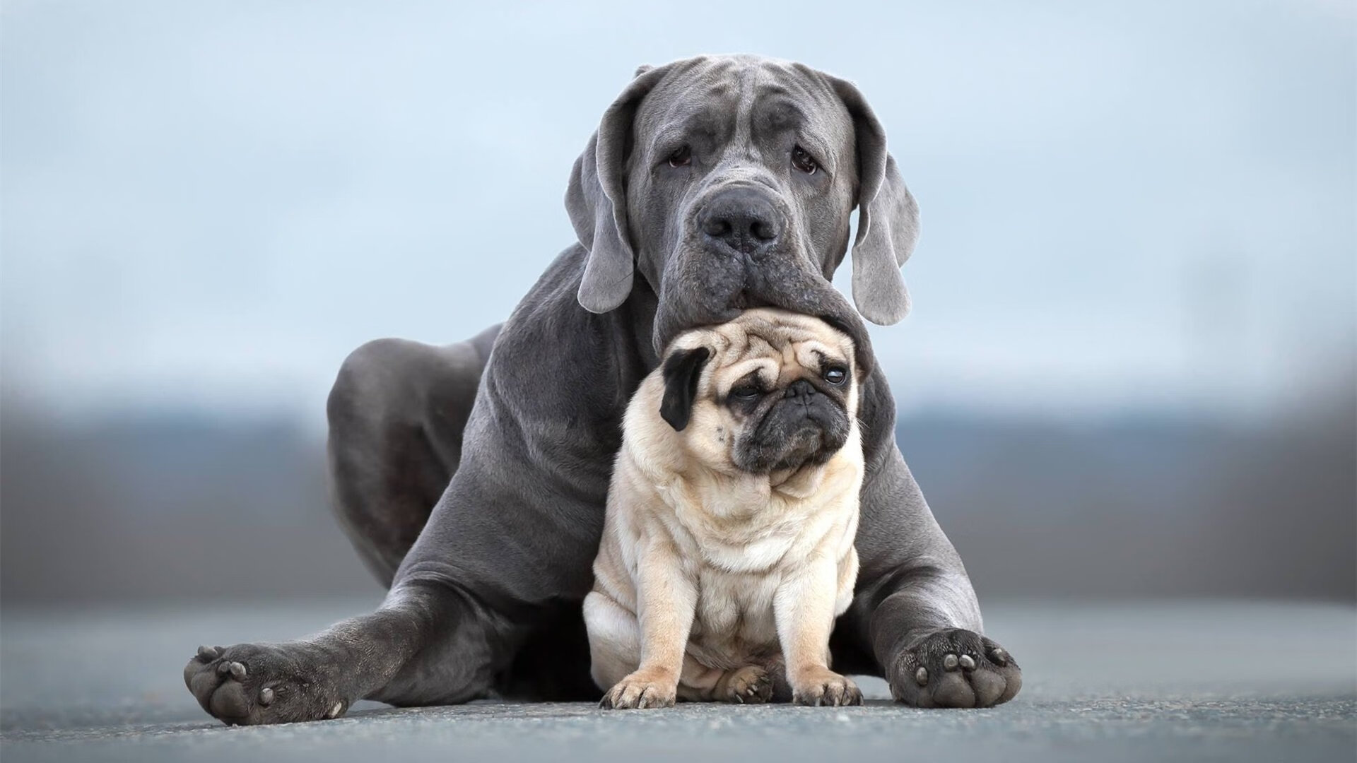 碾碎神话，独行侠在生死边缘钉死老鹰夺冠之路