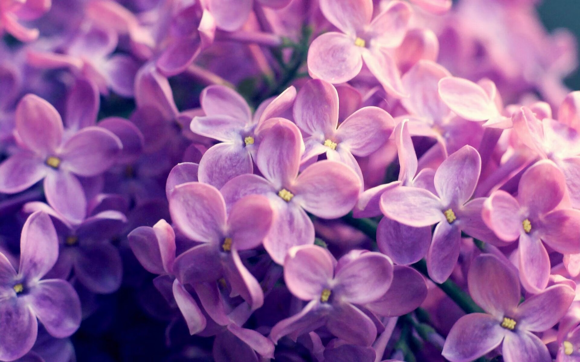 时空回响，广东疾风冲垮魔术，库里三分点亮历史长夜