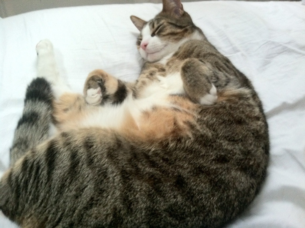 暗影与极光，阿克何以成为今夜街道的胜负手