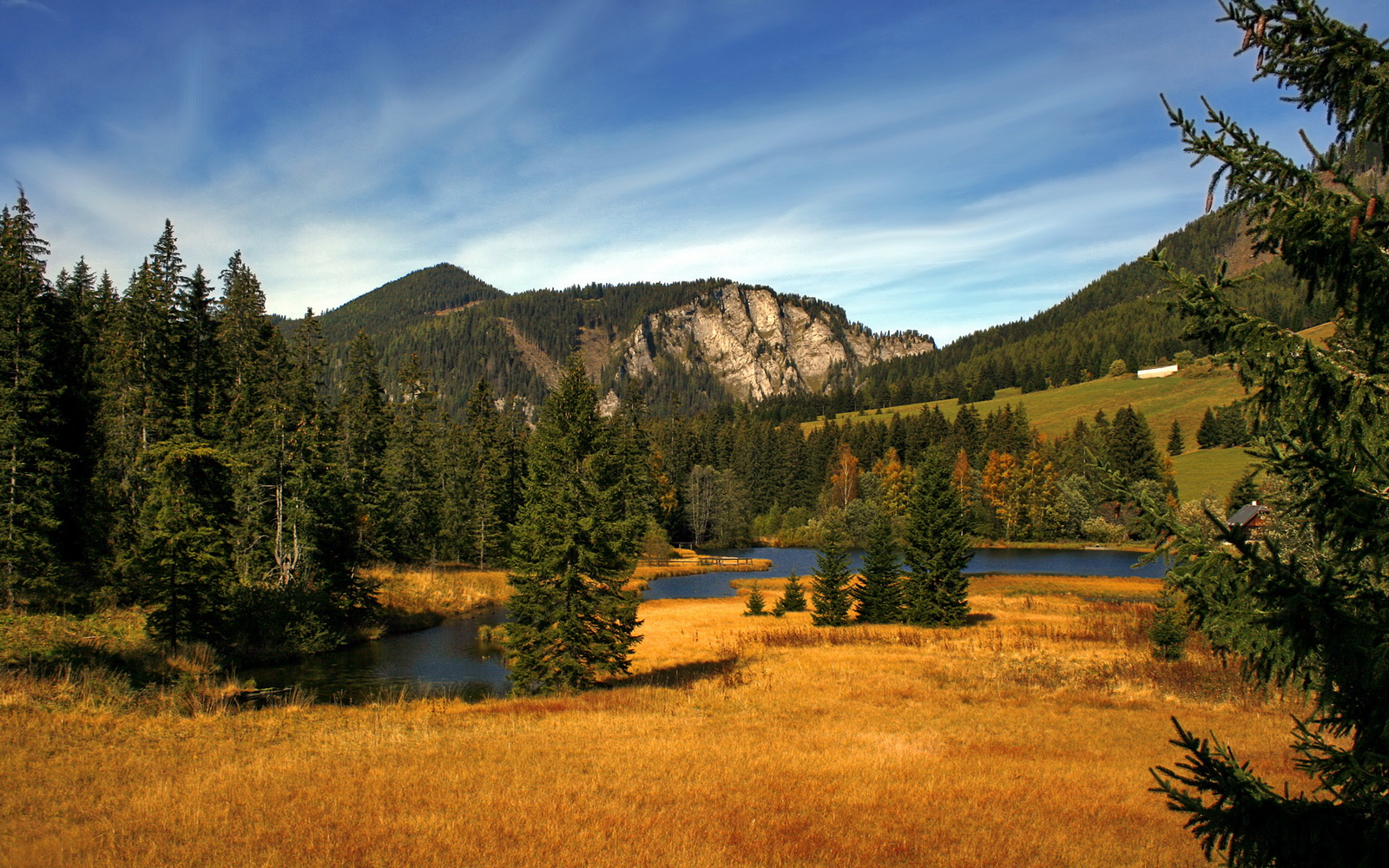 铁骑踏破南粤关,西亚卡姆26分定乾坤,76人强行终结深圳队