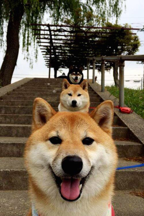 罗德里戈一锤定音，那不勒斯客场力克冰岛劲旅强势晋级