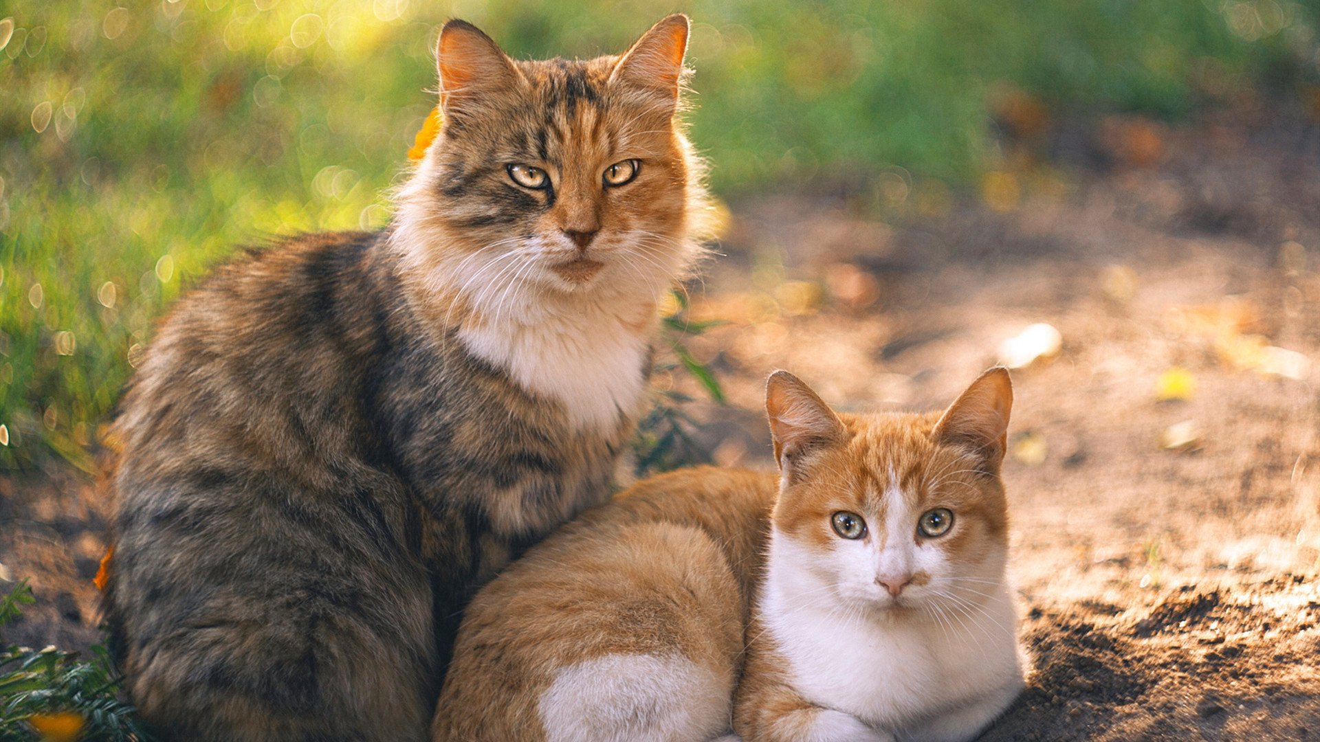 世界排名争夺战之夜，当最后一颗黑球入袋，保罗完成自我救赎
