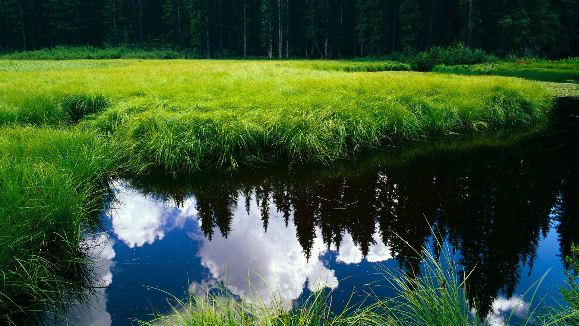 破壁之战,在顶级较量中淬炼突围的勇气