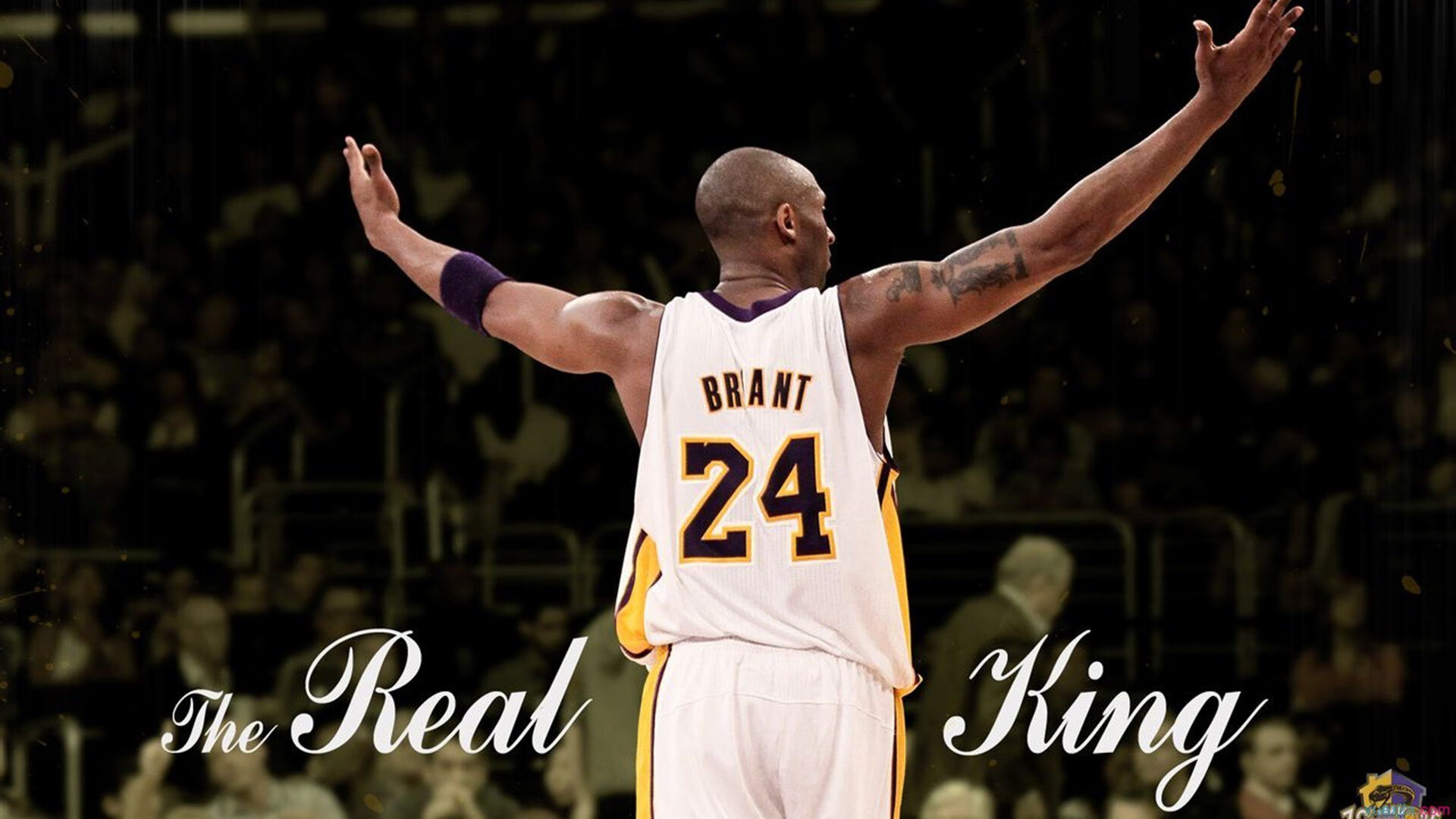 弹道与轨迹，当篮球绝杀与足球弧线共同刻写胜利