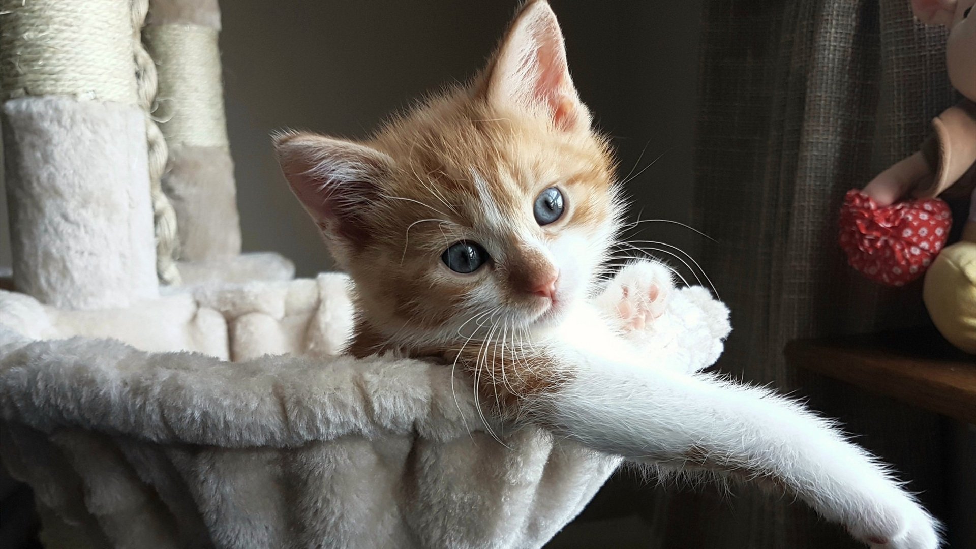 世界排名争夺战之夜,利拉德用三分雨浇灭质疑,是刺客,亦是君王