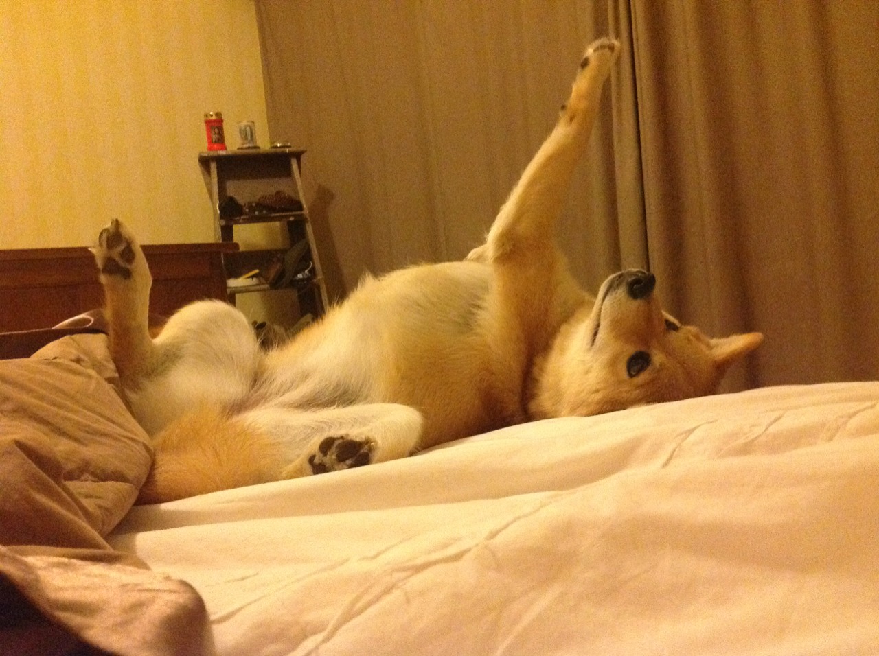 皮克全程高能输出，荷兰军团制霸佛罗伦萨