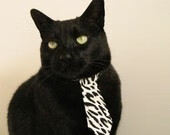 当欧冠荣光降临NBA总决赛夜,一场穿越的征服如何重塑体育想象