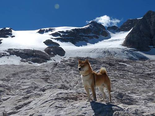 切特狂轰40分！76人客场力克山西夺赛点
